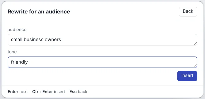 TidyTalk prompt form titled Rewrite for an audience, with blanks for audience and tone filled in and an Insert button